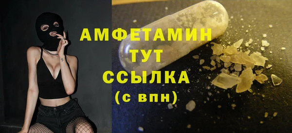 винт Абаза