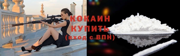 винт Абаза