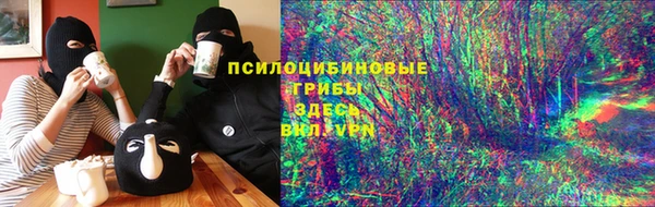 PSILOCYBIN Алексин