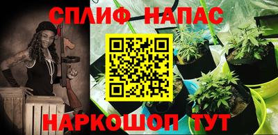 гашиш Бердск