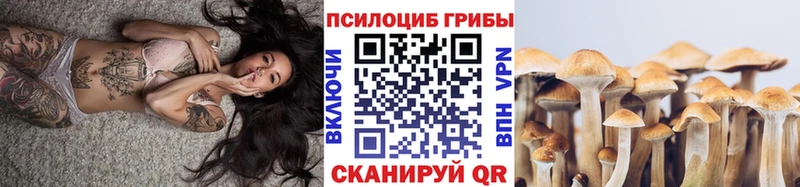 МЕГА сайт  Вичуга  Галлюциногенные грибы мухоморы 