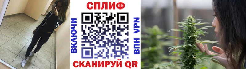 продажа наркотиков  omg tor  Канабис планчик  Вичуга 